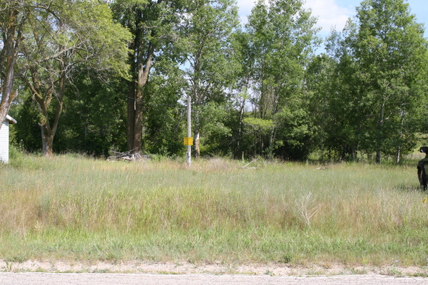 Lot 2684