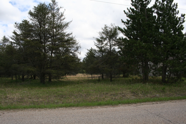 Lot 7000