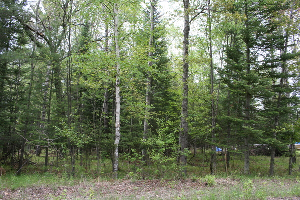 Lot 7001
