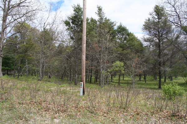 Lot 7002