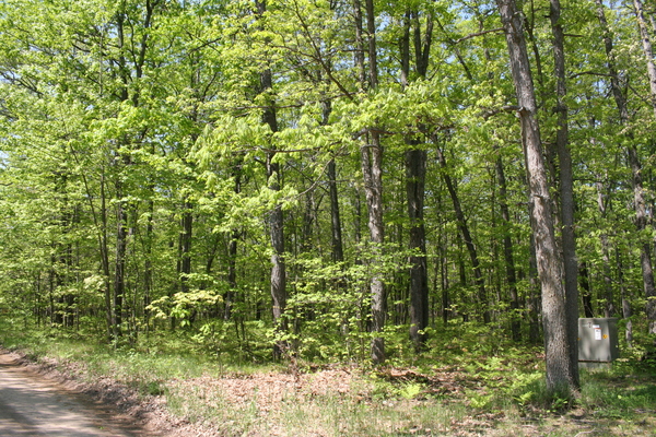 Lot 7023