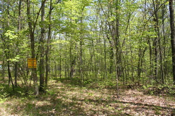 Lot 7024