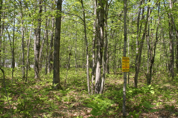 Lot 7025