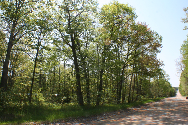 Lot 7027