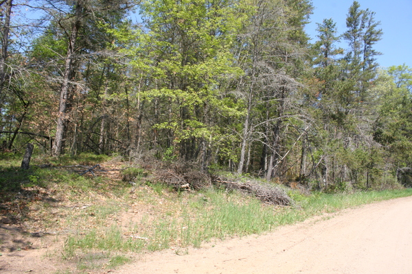 Lot 7028