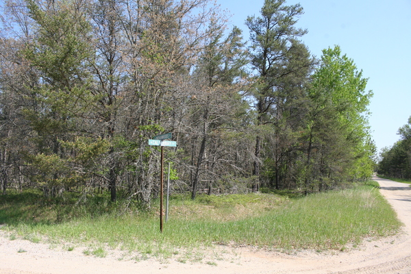 Lot 7029
