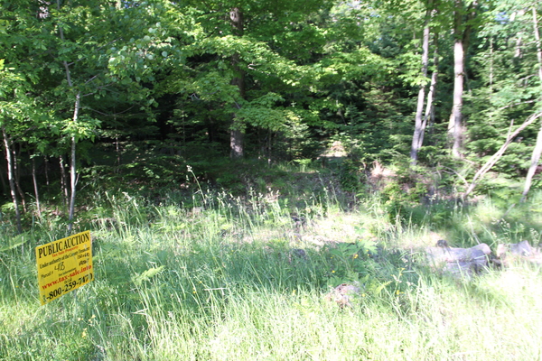 Lot 403