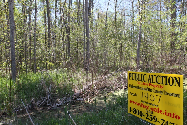 Lot 1407