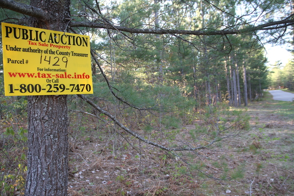 Lot 1429
