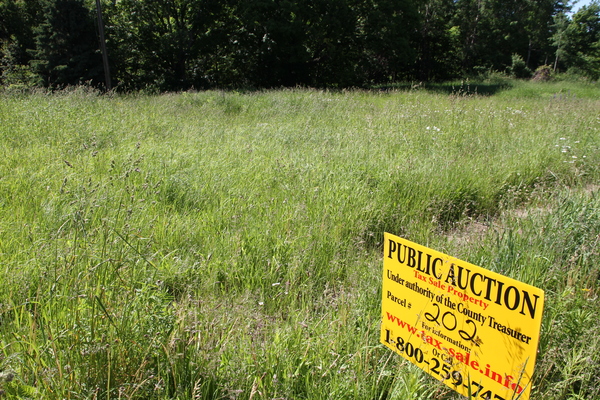 Lot 202