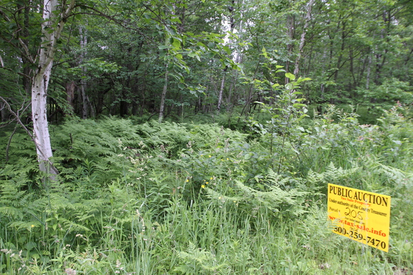 Lot 205