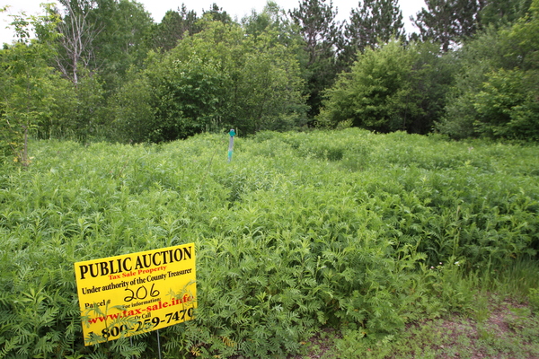 Lot 206