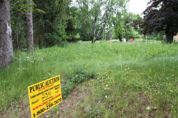 Lot 234
