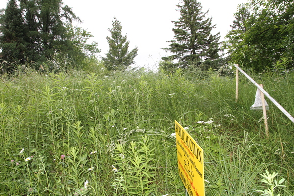 Lot 236