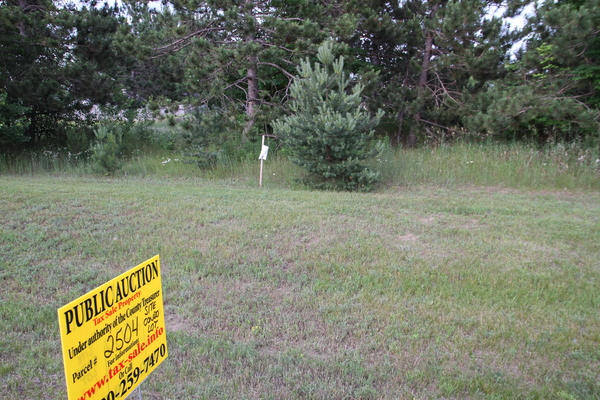 Lot 2504