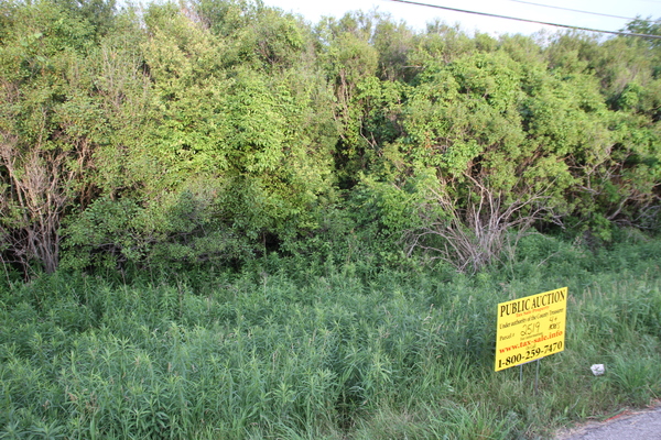 Lot 2519