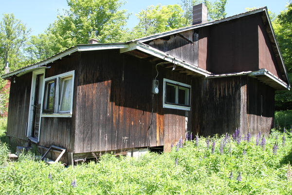 Lot 519