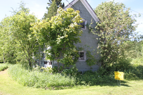Lot 543
