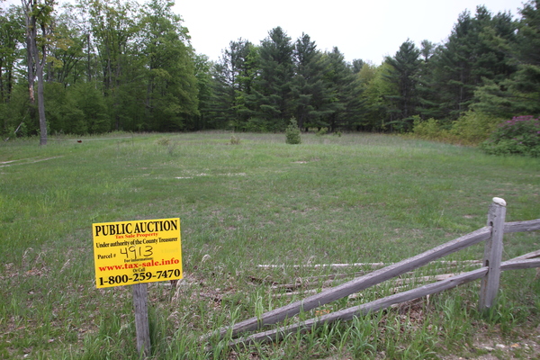 Lot 4913