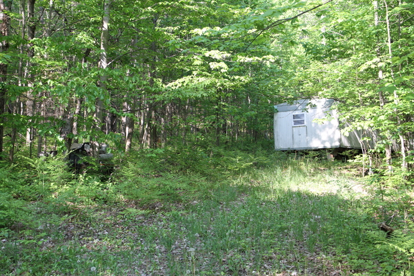 Lot 3121