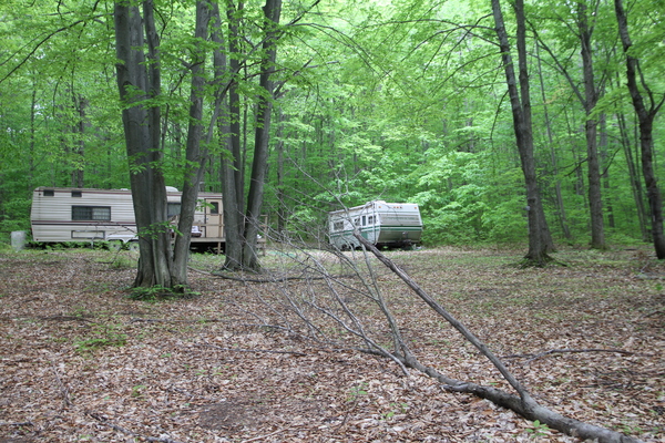 Lot 3131