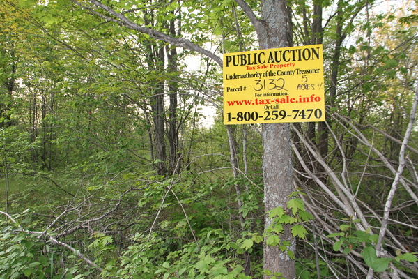 Lot 3132