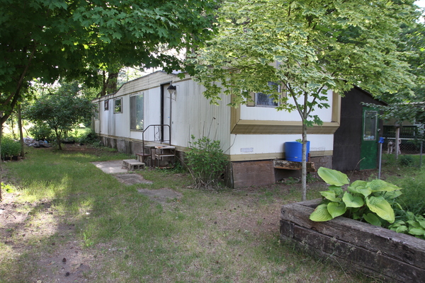 Lot 3019