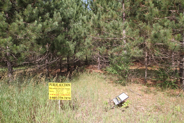 Lot 3508