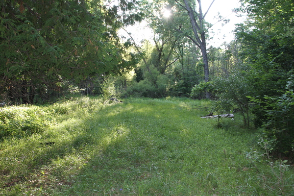 Lot 3514