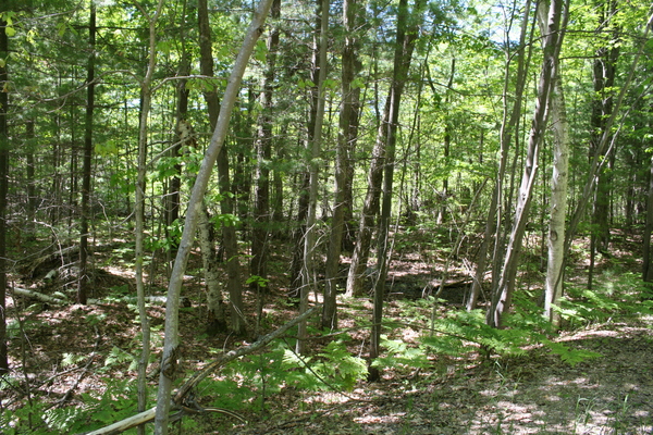 Lot 3403
