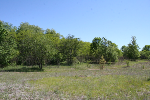 Lot 3405