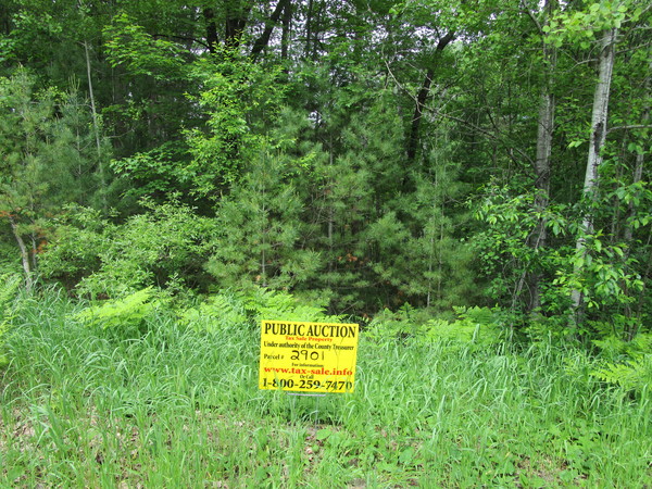 Lot 2901