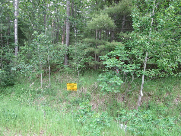 Lot 2906