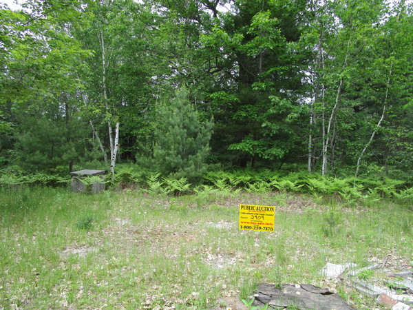 Lot 2909