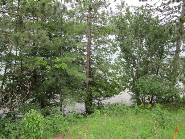 Lot 2910