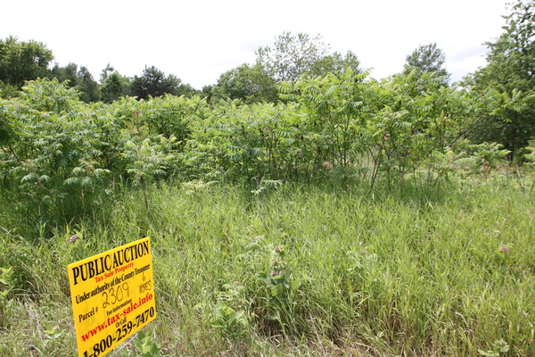 Lot 2309