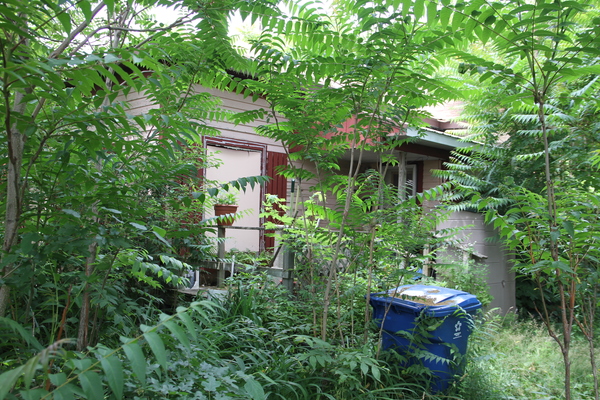 Lot 2326