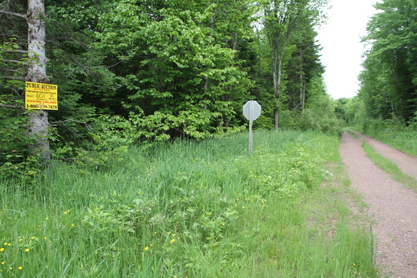 Lot 601