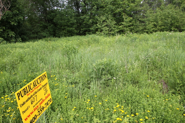 Lot 607