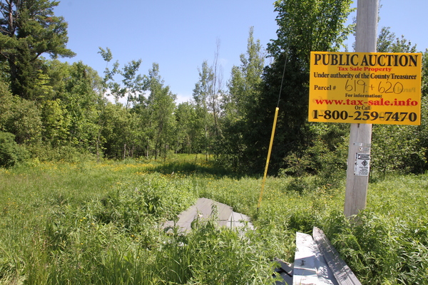 Lot 619
