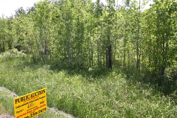 Lot 641