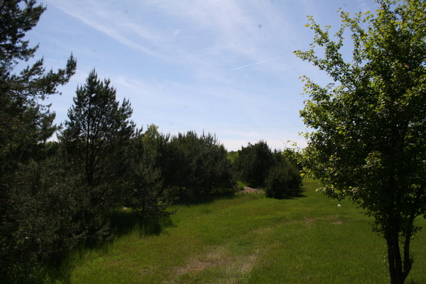 Lot 2402