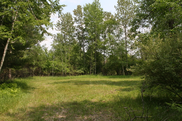 Lot 2451