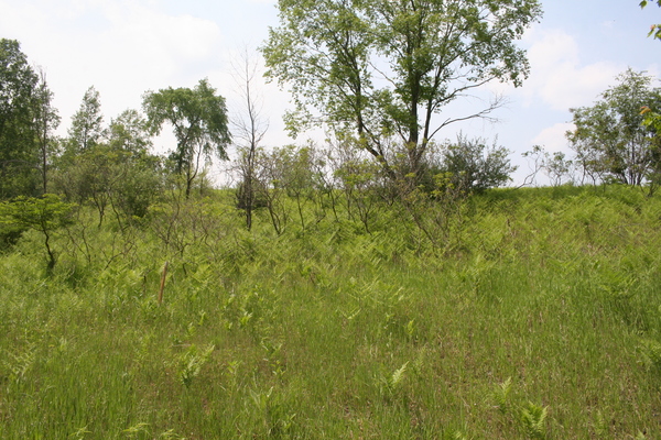 Lot 2406