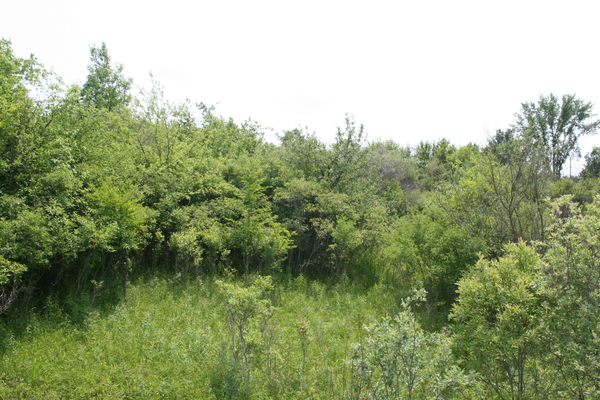 Lot 2413