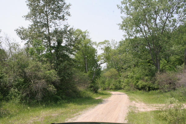 Lot 2417