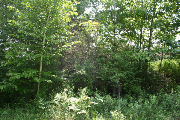 Lot 2422