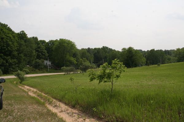 Lot 2425
