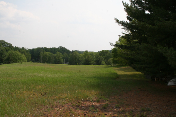 Lot 2426