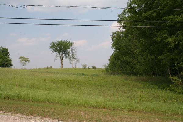 Lot 2427